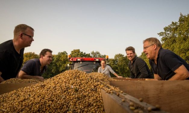 Akkerbouwers worstelen met sojateelt in Drenthe